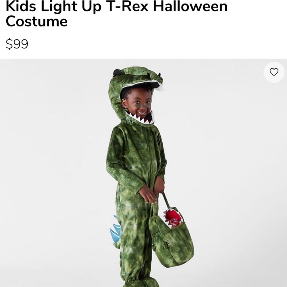 Pottery Barn T-rex costume and bucket